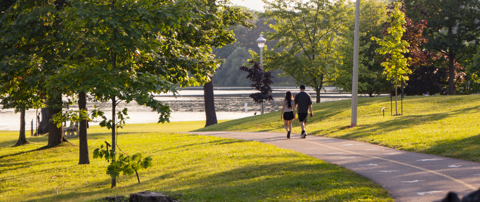 People walking in park